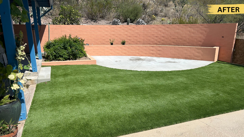 Garden after photo