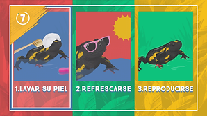 vlcsnap-2021-09-10-19h04m23s877.png