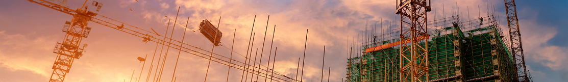 Untitled design (22).png