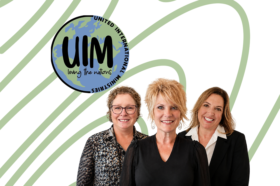 For Prospective Friendship Partners: An Introduction to UIM (Online Gathering)