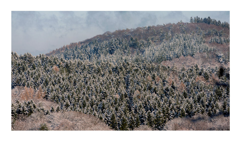 Miniaturbild: Postkartenmotiv: Eine Postkarte im Panoramaformat zeigt eine Fotografie einer Schneebedeckte Berglandschaft mit dichten Wäldern