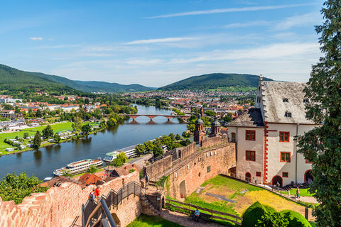 Miltenberg mit Blick von der Burg auf den Main