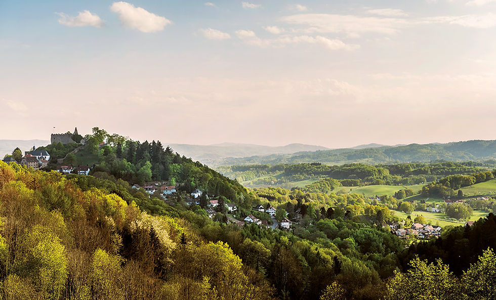 Miniaturbild: Idyllische Odenwaldlandschaft: Hügel, Wald, Häuser