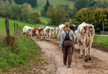 Kelterei Pfeiffer – Ostertal im Odenwald
