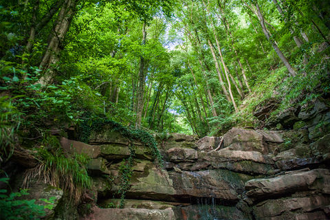 Margarethenschlucht bei Neckargerach