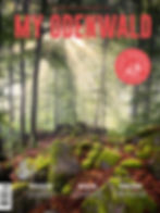 MY ODENWALD Magazin, Ausgabe Nr. 9. Abbildung des Covers mit schöner Waldlandschaft, das Sonnenlicht fällt durch die Bäume im Wald und es ich leichter Nebel zu sehen. Auf dem Cover sind drei Themen der Ausgabe angegeben; Heidelbeeren, Waldliebe und Glanzstücke