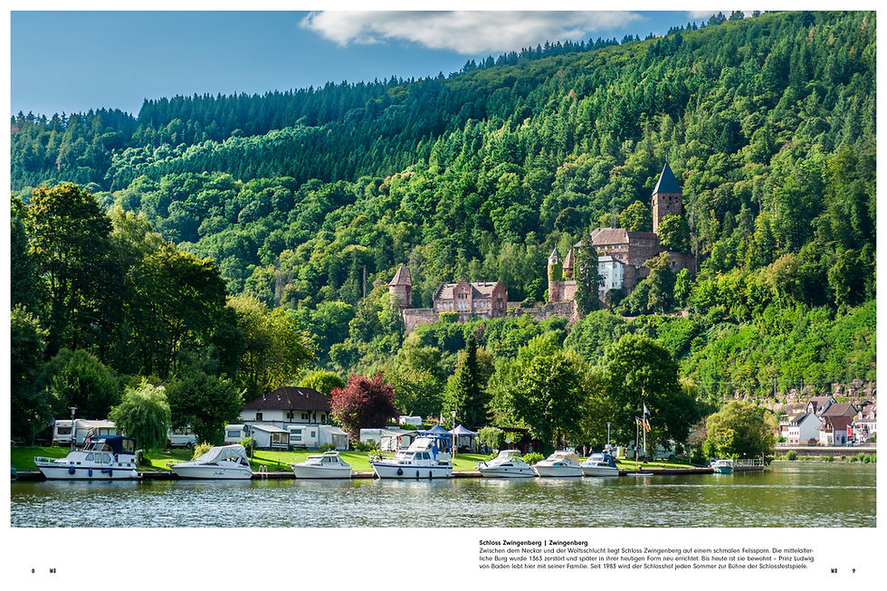 Miniaturbild: MY ODENWALD   | Ausgabe 11