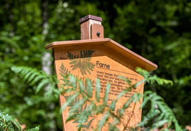 Geopark-Wanderung und Führung durch den ersten deutschen Waldlehrpfad