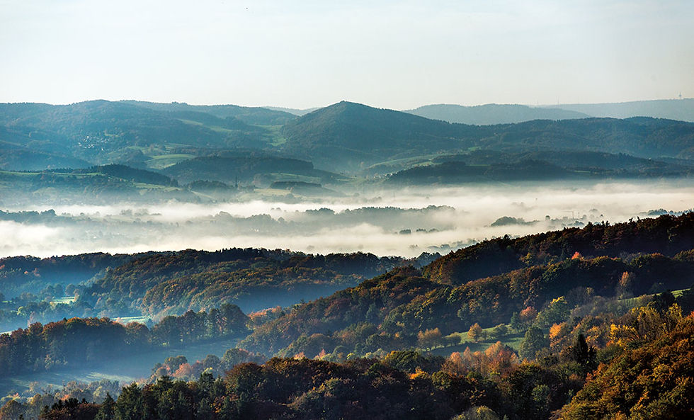Miniaturbild: Sanfte Hügel des Odenwald im Nebel Herbstlandschaft mit Odenwald