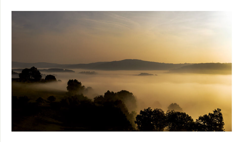 Miniaturbild: Postkartenmotiv: Eine Postkarte im Panoramaformat zeigt eine Fotografie von eine in Morgennebel gehüllte Landschaft in sanftes Gold im Odenwald