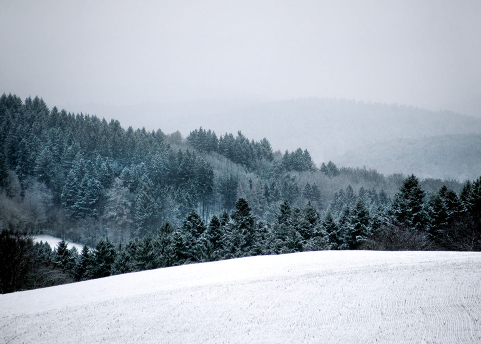 Miniaturbild: Postkarte einer Schneebedeckte Odenwaldlandschaft: Tannenwald im Winter