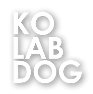 Logo blanc ombre _edited.png