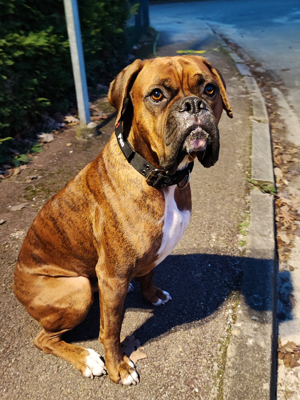 IMG_20230210_184320_edited