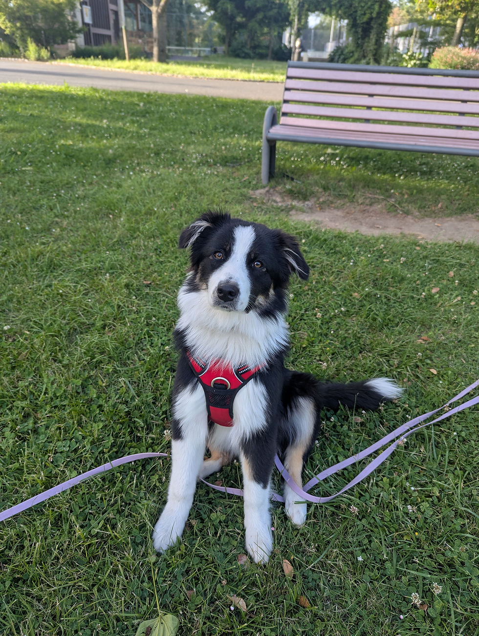 PXL_20250526_174452813