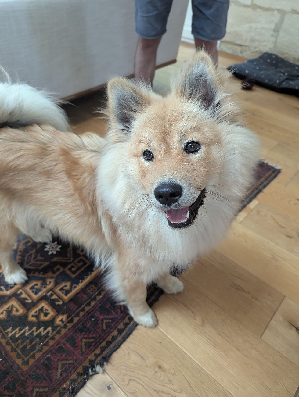 PXL_20250530_164606562