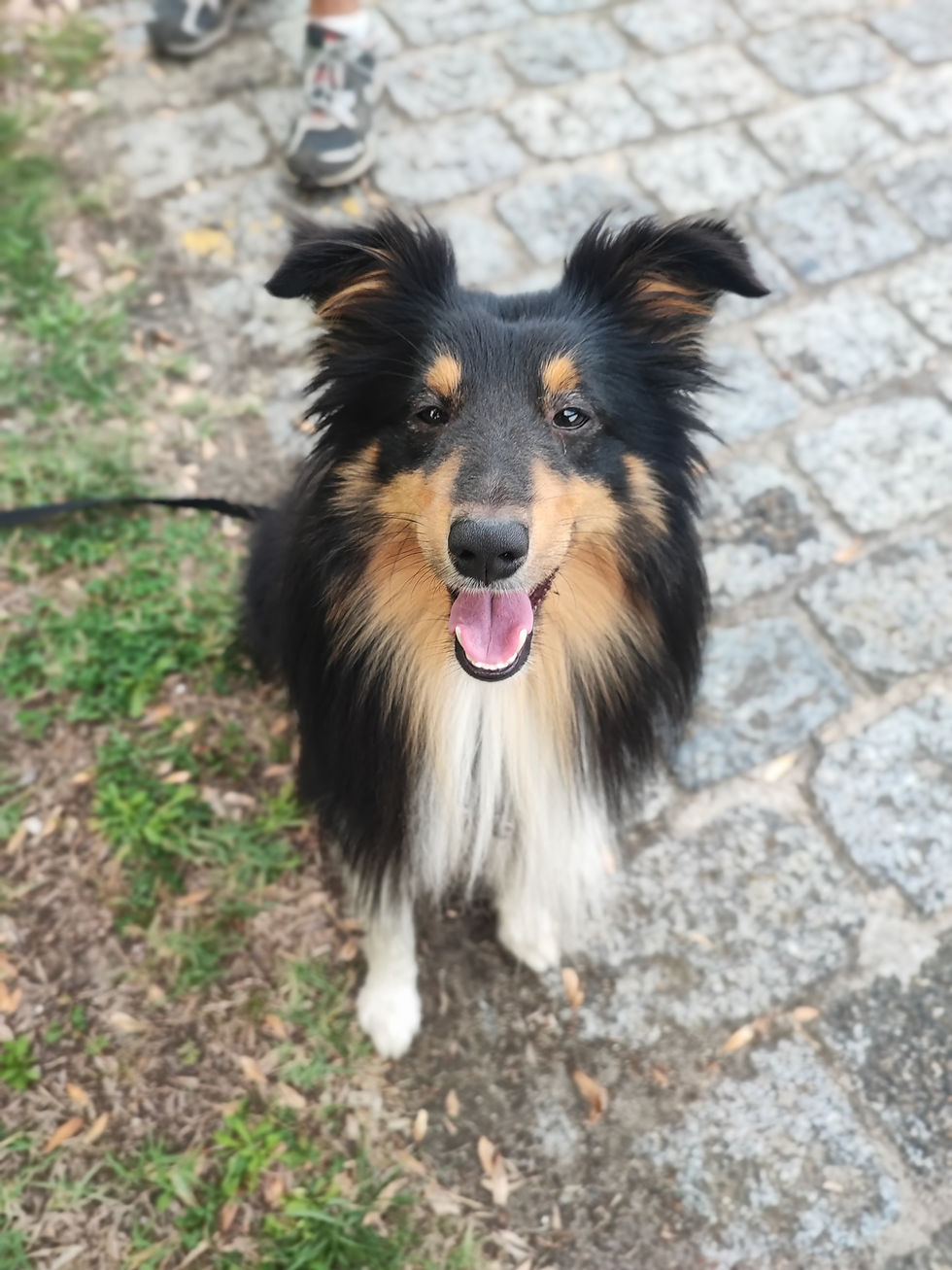 IMG_20220824_190427 (1)