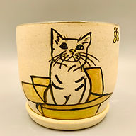 cat in the box (character).jpg