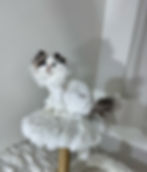 Tippy 1__edited