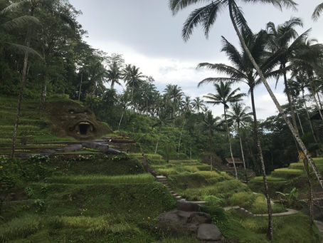 VOYAGE A BALI : ENTRE RIZIÈRES ET TEMPLES SACRÉS - ENTRE TRADITIONS ET PARADIS