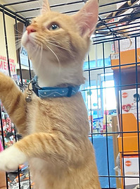 Adopted 2023 1-2.JPG