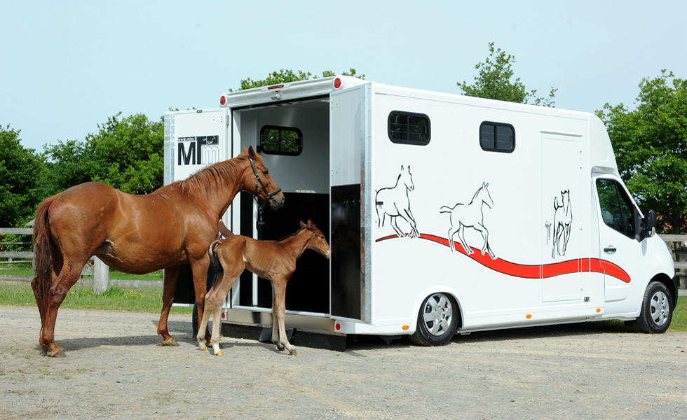 Transport de chevaux par avion cargo 75008 Paris Webforjetset Transport de chevaux par avion cargo 75008 Paris Webforjetset