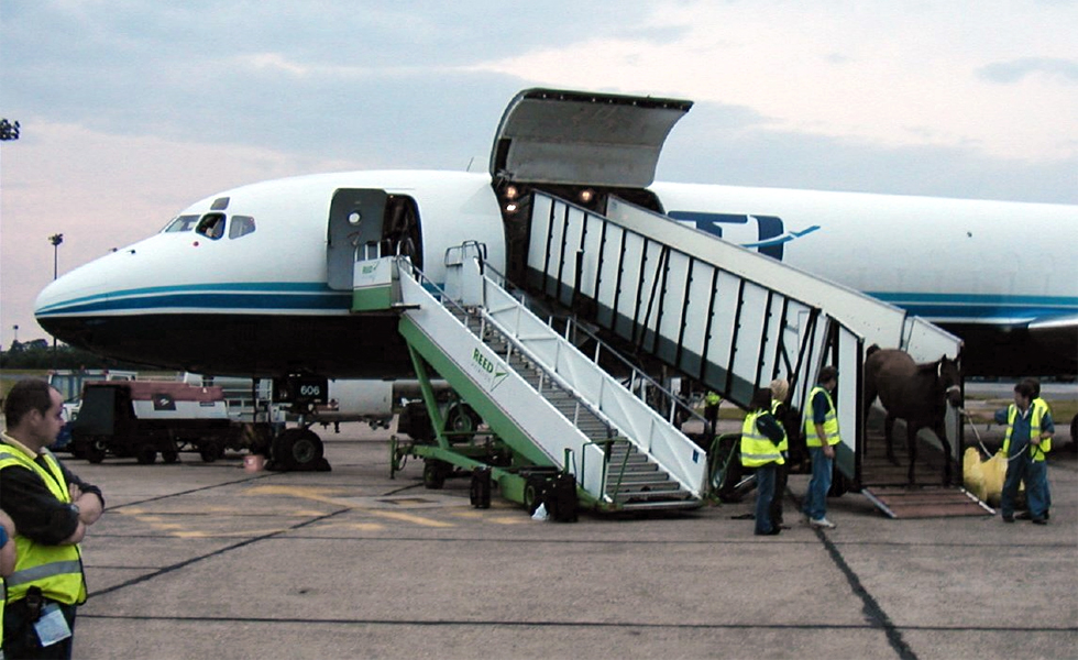 Transportdechevauxparavioncargo 75008 Paris Webforjetset