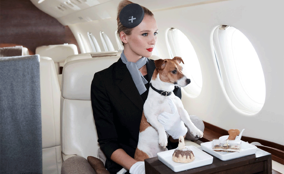 jet privé | webforjetset.net