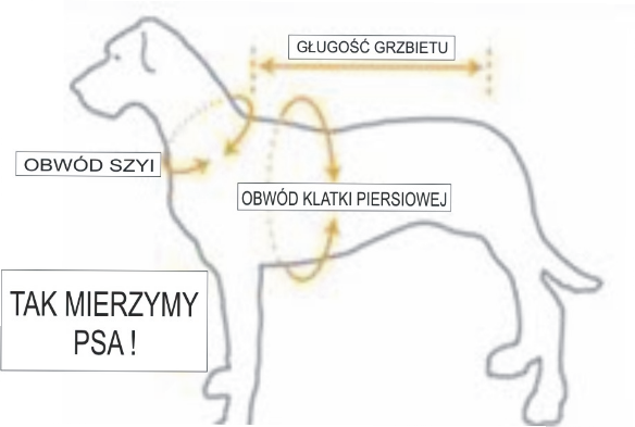 Miniatura: Lekka kurtka przeciwdeszczowa z uprzężą rozmiar 8