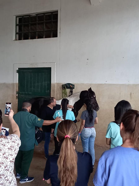 Aula prática