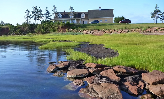 Untitled design (47).png