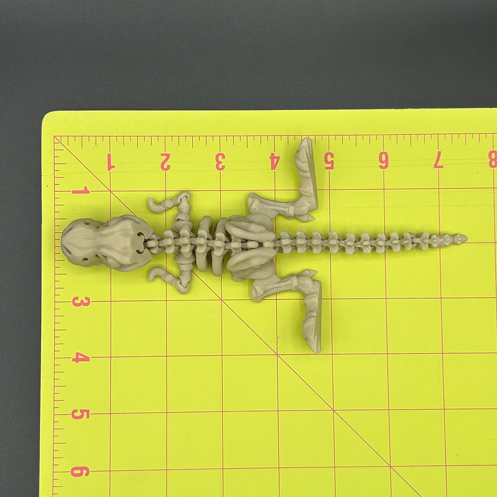 Thumbnail: Skeleton T-Rex