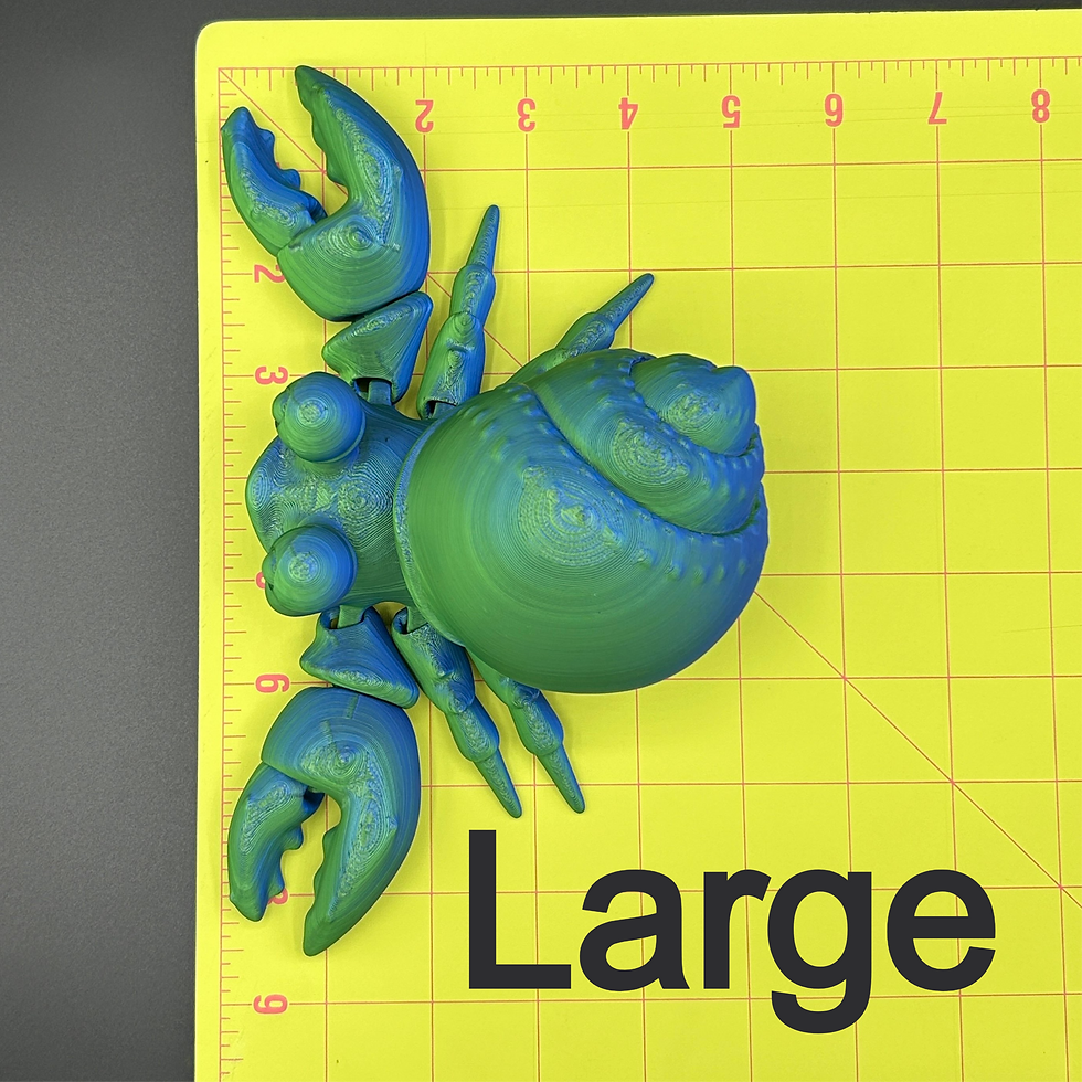 Thumbnail: Hermit Crab