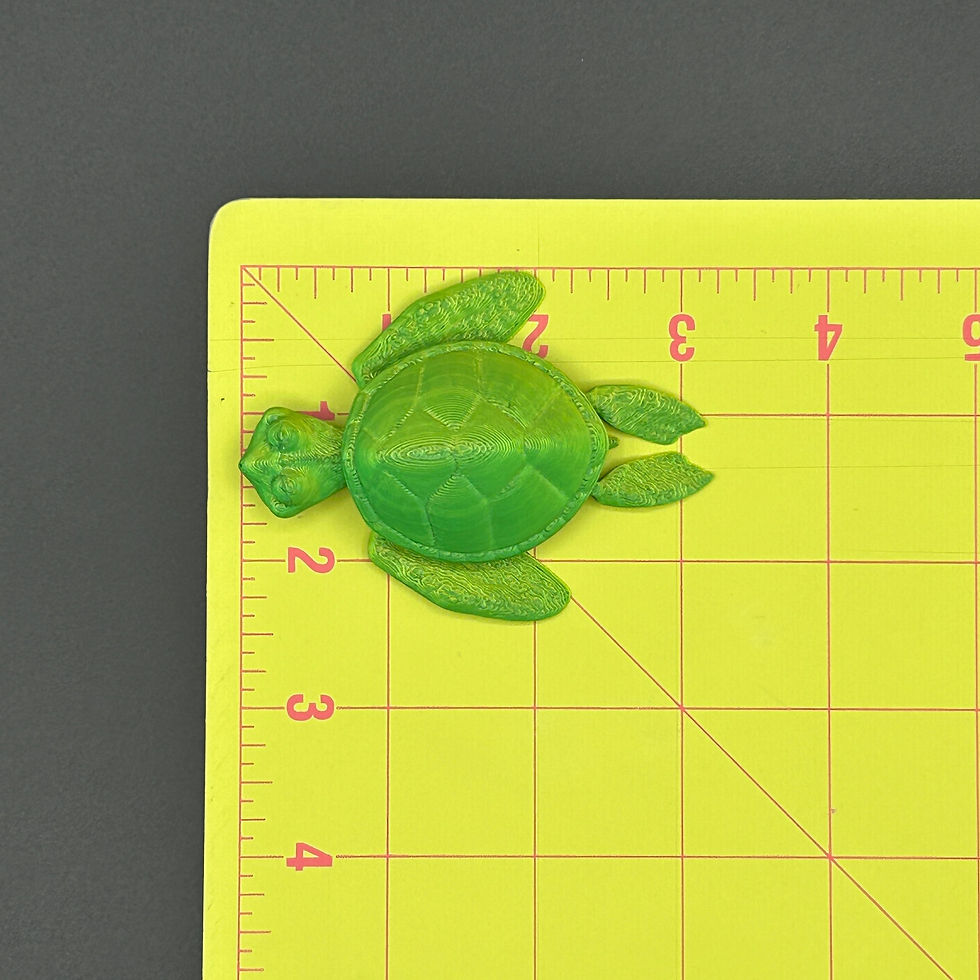 Thumbnail: Turtle