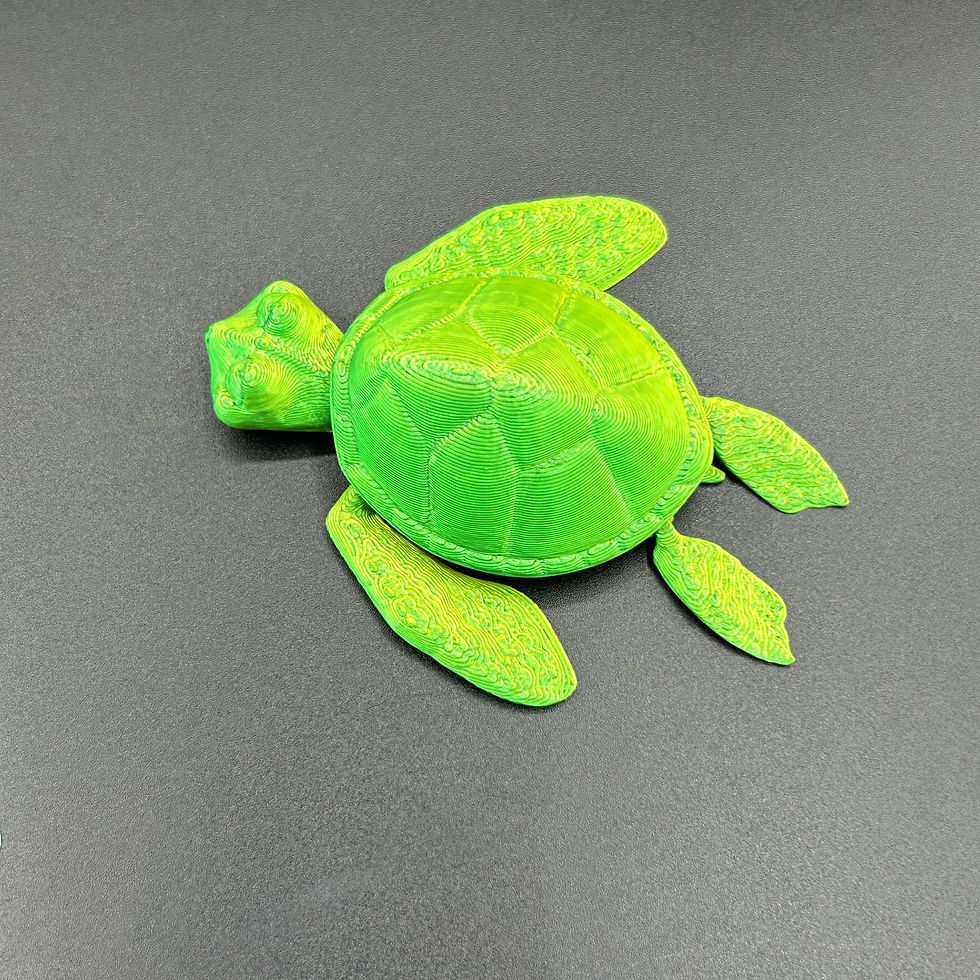 Thumbnail: Turtle