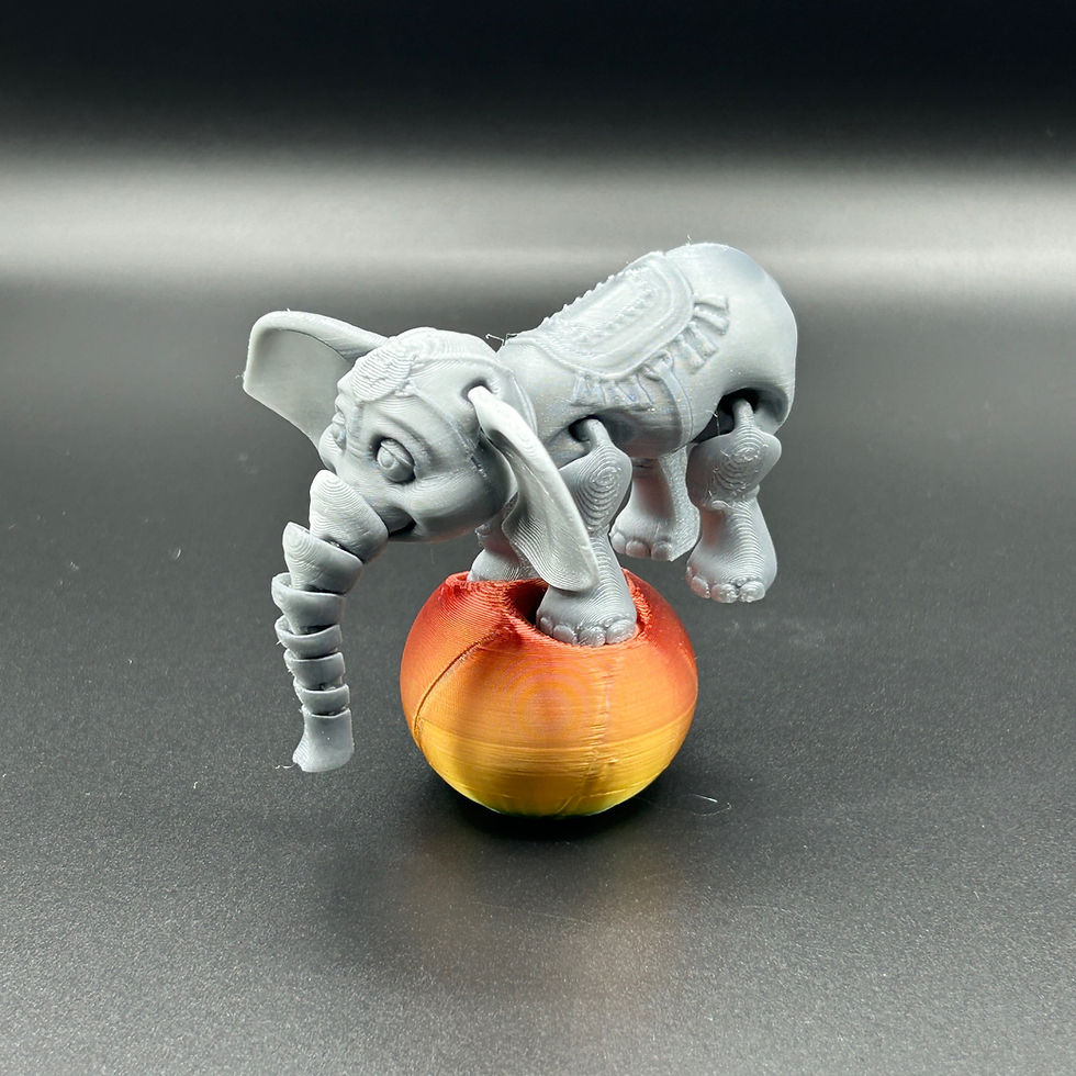 Thumbnail: Circus Elephant