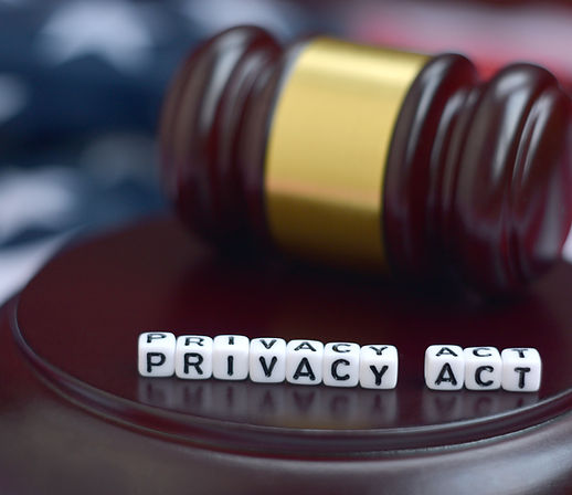 justice mallet and privacy act characters close up