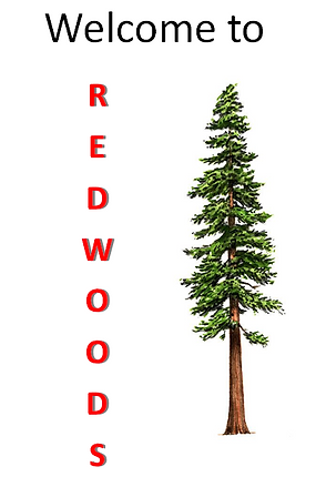 Welcome to redwoods.png