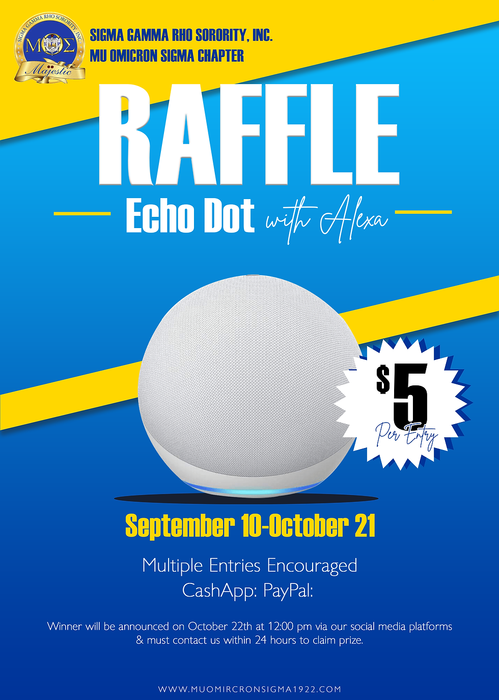 Echo Dot Raffle
