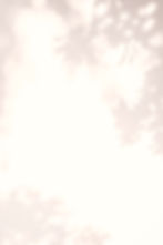 Leaves Shadow _edited_edited_edited_edited_edited_edited.jpg