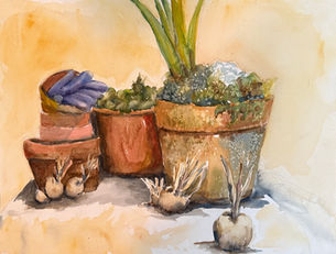 Flower Pots by Leslie Dealy