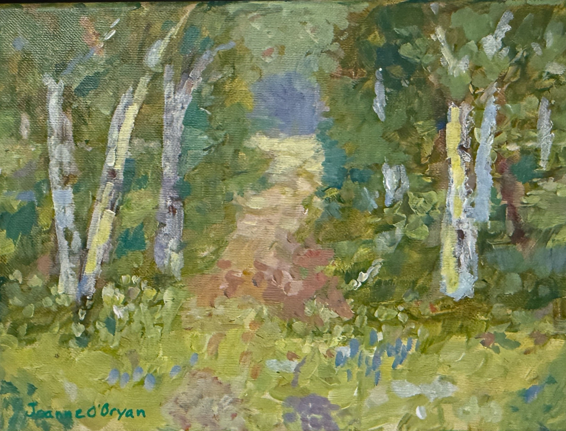 Spring Birches