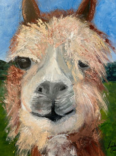 Love of Llama by Linda Condon