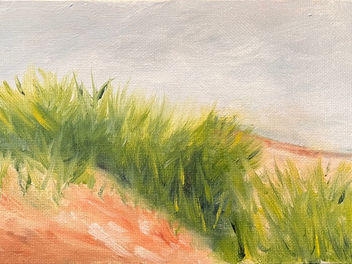 Grassy Dune by John Besaw