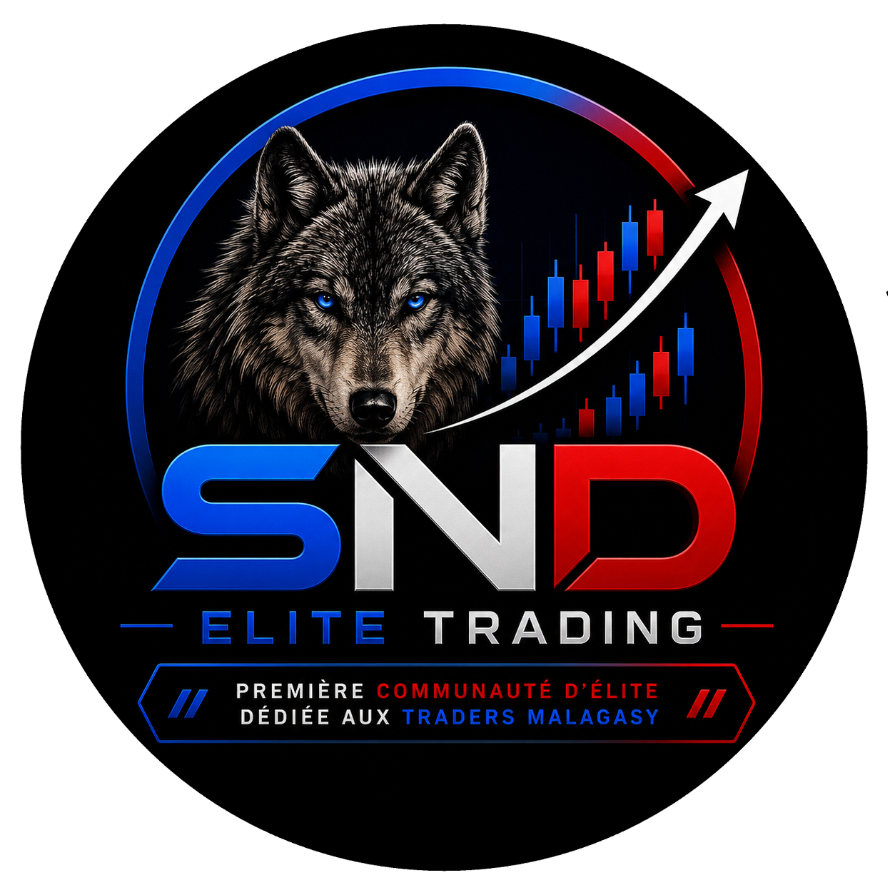 logo SND finale.png