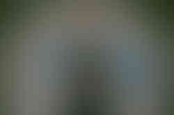 annie_forrest_born2rave00010.jpg