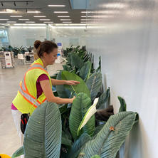 Indoor Plants with Olga