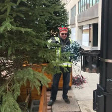 Special event hanging festive lights