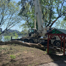 Tree trimming with truck
