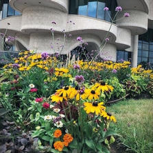Floral Design, Museum of History
