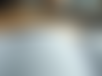 Why an Up-to-Date Employee Handbook is Essential for Your Company Culture and Success